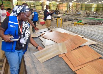 The Kapeeka Effect: Inside the Industrial Revolution Reshaping Namunkekera