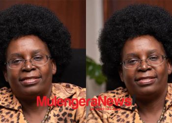 Govt Reports Progress On USD608m Electricity Access Project, Targets Faster Household Connections