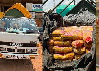 URA Impounds 180 Bags of Smuggled Pakistan Rice Hidden Under Dried Cassava