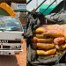 URA Impounds 180 Bags of Smuggled Pakistan Rice Hidden Under Dried Cassava