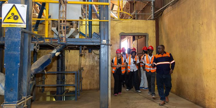 Zigoti Coffee Eyes Major Expansion as Equity Bank Explores Shilling Billions in Value-Chain Financing