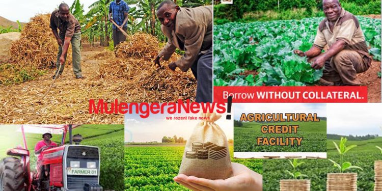 New NPA Report Reveals How BoU-Administered Shs1.06Trn Agric Credit Facility Created More Than 53K New Jobs