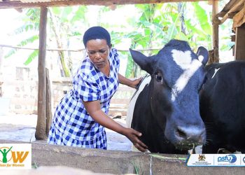 From One Step to Another: How a GROW Loan Is Transforming Eunice Birungi’s Family and Farm