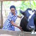 From One Step to Another: How a GROW Loan Is Transforming Eunice Birungi’s Family and Farm