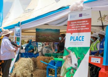 Museveni’s Appearance Signals Livestock Breeding Transformation Among Karamajongs as NAGRC&DB Showcases Innovations at Karamoja Cultural Event