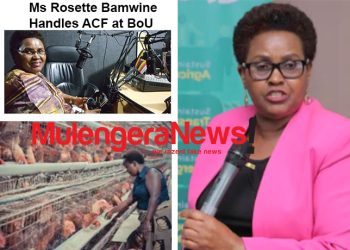 New NPA Report Shows How Understaffing Is Killing BoU-Administered ACF Intervention; Proposes Agricultural Financing Reforms