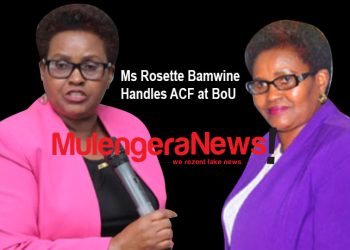 New NPA Report Exposes Inequality: BoU’s Agric Lending Remains Heavily Concentrated in Central, Western Uganda