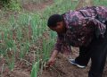 Drought Crisis: Nabbanja Tells Farmers to Turn to Plastic Bottles to Save Their Crops