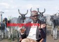 OBED KATUREEBE: Balaalo have exited northern Uganda; let the Zebu cows occupy space