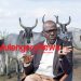 Balaalo have exited northern Uganda; let the Zebu cows occupy space