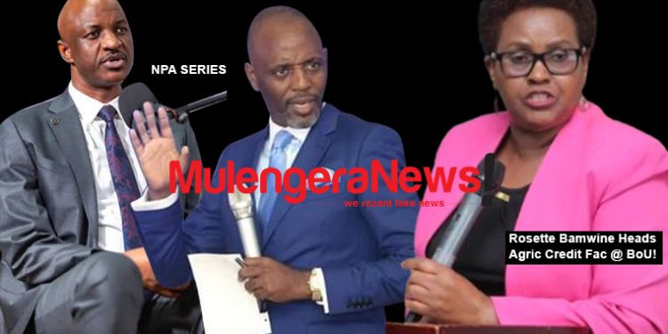 NPA Report Calls for Stronger Finance Ministry Oversight Over Uganda Development Bank & Other DFIs