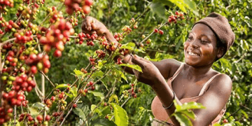 NPA SERIES: Affordable ACF Credit Gives Farmers a Financing Edge as BoU Weighs Next Phase