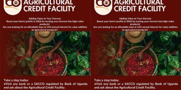 71% Of BoU’s ACF Beneficiaries Rely On Crop Farming as Main Income Source-New NPA Evaluation Report Discovers