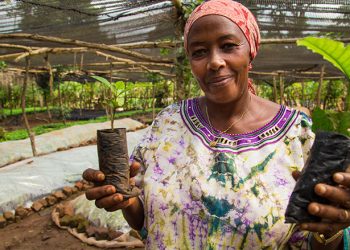 Borrow, Produce, Struggle to Sell: ACF Agric Loan-Supported Farmers Trapped by Market Crisis – New Report Shows