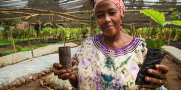 Borrow, Produce, Struggle to Sell: ACF Agric Loan-Supported Farmers Trapped by Market Crisis – New Report Shows