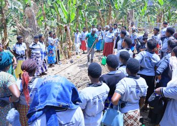 From Skills to Cash: GROW Training Opens Banking Doors for 300 Women in Rubanda, Kigezi Sub region