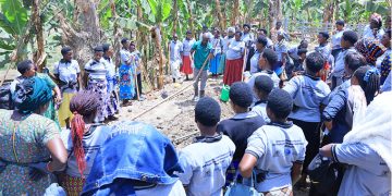 From Skills to Cash: GROW Training Opens Banking Doors for 300 Women in Rubanda, Kigezi Sub region
