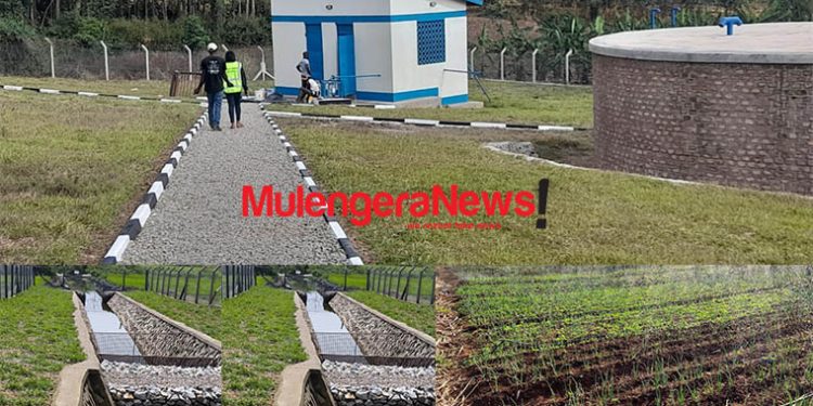 How Tik Talkers Lied About Water Ministry’s NEXUS Green Project