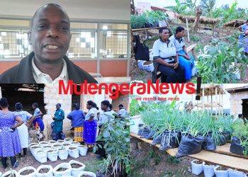At GROW Specialized Advanced Skills Training, Agricultural Experts Find Rubanda District with Favourable Soil for Coffee, Other Crops That Could Turn Banyakigezi Wealthier