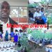 At GROW Specialized Advanced Skills Training, Agricultural Experts Find Rubanda District with Favourable Soil for Coffee, Other Crops That Could Turn Banyakigezi Wealthier
