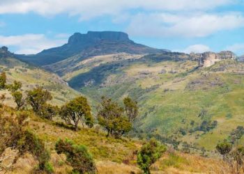 Bamasaba’s Umukuuka Backs Government’s Mount Elgon Resettlement Plan, Urges Nabbanja to Offer Better Support to Displaced Communities