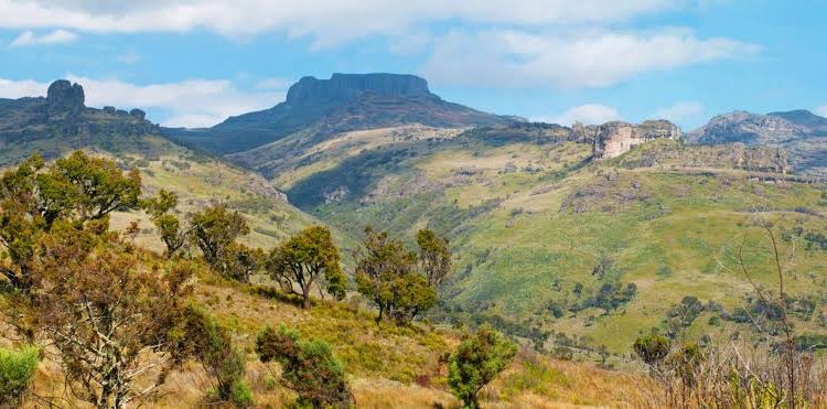 Bamasaba’s Umukuuka Backs Government’s Mount Elgon Resettlement Plan, Urges Nabbanja to Offer Better Support to Displaced Communities
