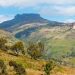Bamasaba’s Umukuuka Backs Government’s Mount Elgon Resettlement Plan, Urges Nabbanja to Offer Better Support to Displaced Communities