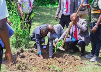 Centenary Bank, Kabale Diocese and Good Forests Foundation To Plant 12,000 Trees in Kanungu
