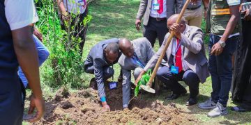 Centenary Bank, Kabale Diocese and Good Forests Foundation To Plant 12,000 Trees in Kanungu